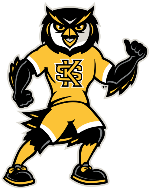 Kennesaw State Owls 2012-Pres Mascot Logo 02 iron on paper